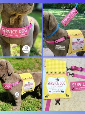 NEW SERVICE DOG Cape Set. Yellow "Picnic" Themed SD Gear